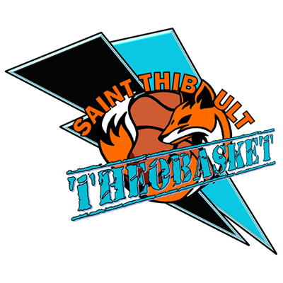 logo_TheoBasket